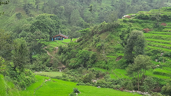Dadmeta samaiji temple