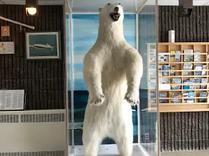 Mounted Polar Bear