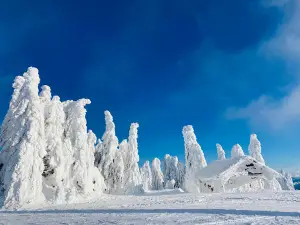Sunčana Dolina