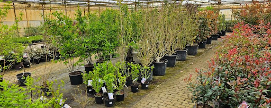 Knuiman Tuincentrum
