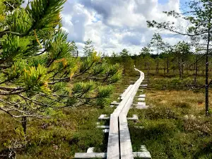 Levaneva Nature Preserve - Peräkylä Parking Lot