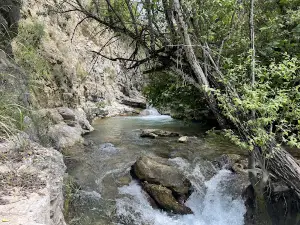 Inicio sendero rio Majaceite