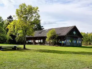 Minor Lithuania paintings garden