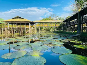 Reserva Victoria Regia