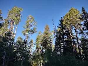 Winn Campground