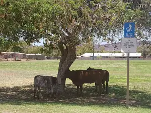Federation Park
