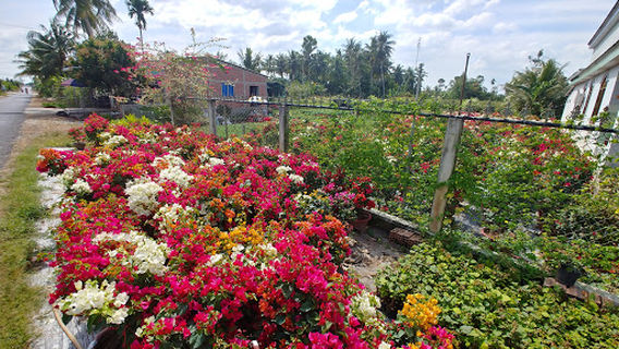 Cho Lach District