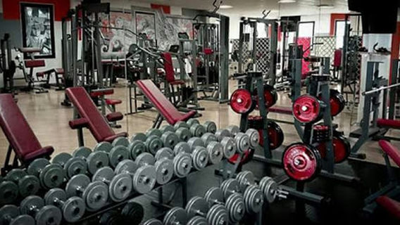 Palestra No Pain No Gain Ssd