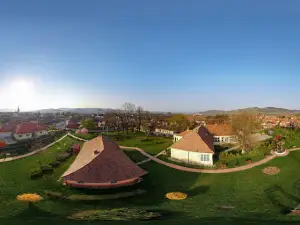 Petőfi Körtefája