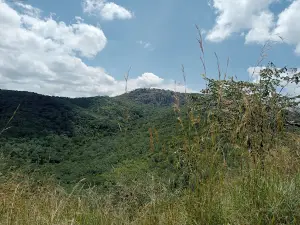 Manenekela