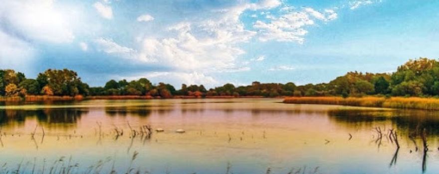 Cotswold Water Park