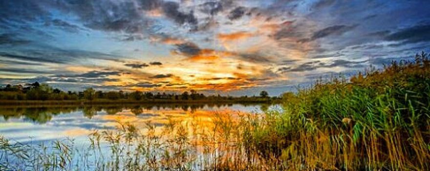 RSPB Ouse Fen Reserve