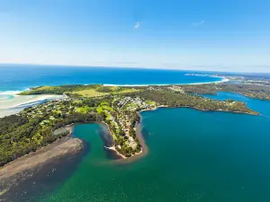 Regatta Point Holiday Park