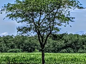 필립스 랜딩 공원