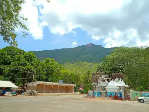 Puliyancholai Park