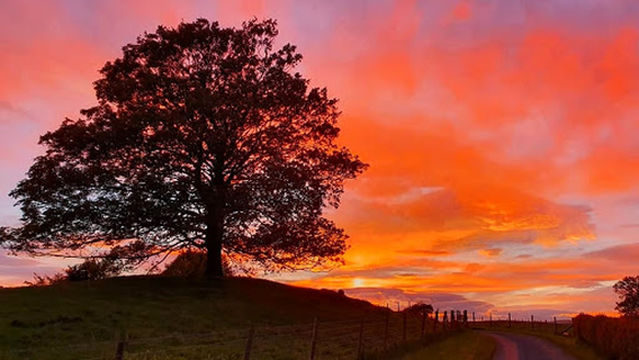 Ash Keys Caravan Park