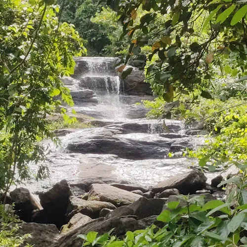 Olichi Waterfall Cascade Falls Point Kottupuram