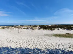 Møllers Dueodde Camping