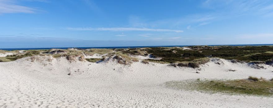 Møllers Dueodde Camping