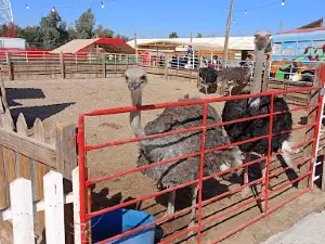 Mini Zoo