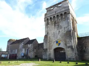 Les Amis du Château de Druyes