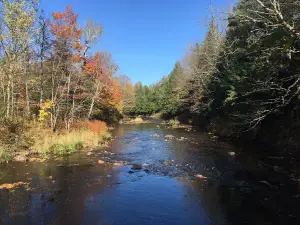 Parc régional des Grandes-Coulées, secteur de la Forêt ancienne