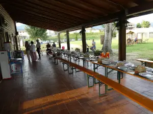 Ninfea Social Club