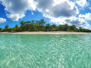 Camp Bay Beach