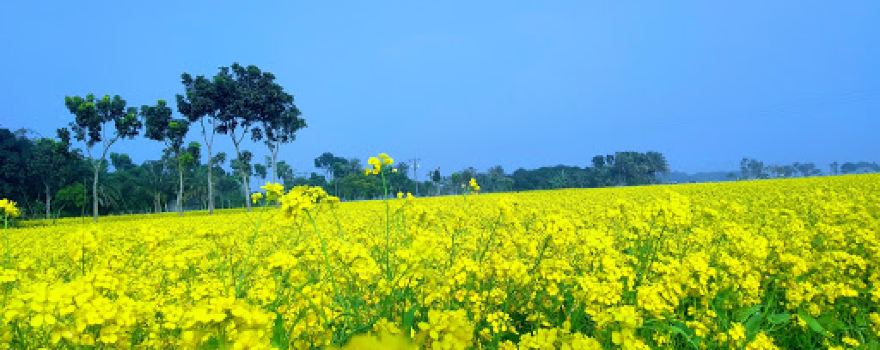 Bagherpara Eco Park