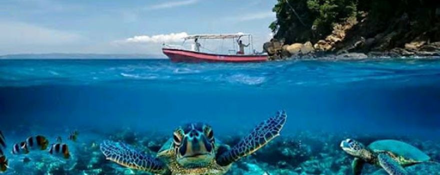 Pulau Batee