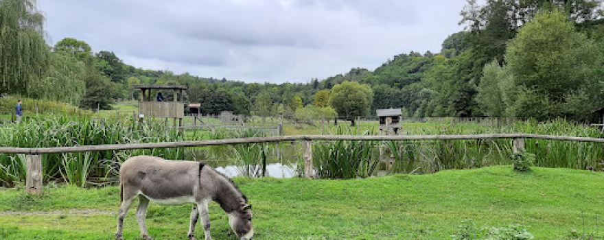 Wildpark Hardegsen