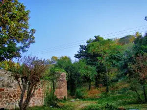 라라 루크 공원