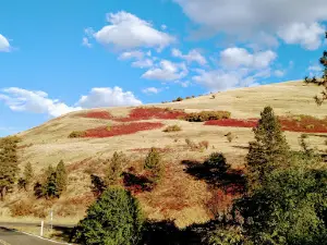 Mckay's Bend Blm