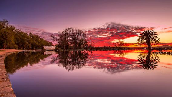 Lake Wendouree Swan Pool
