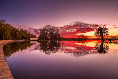 Lake Wendouree Swan Pool