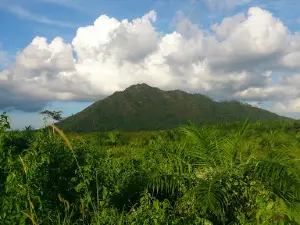 Bukit Marundau