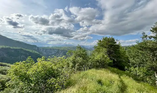 Viewpoint