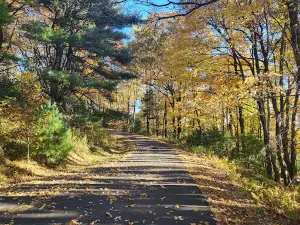 Doughton Park Campground