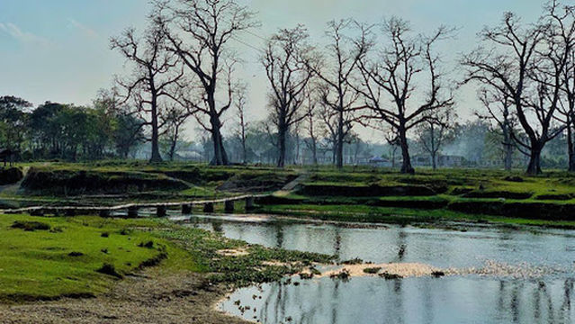Elephant Breeding Centre Suspension Bridge