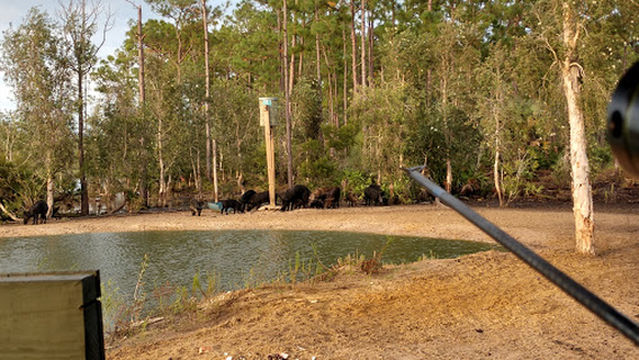 Alligator Alley Outfitters