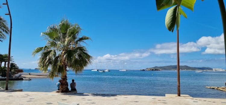 Seahorse Ibiza | Beachfront Restaurant