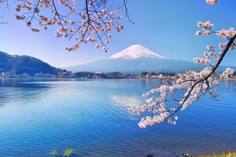 東京近郊景點 — 河口湖面向日本富士山