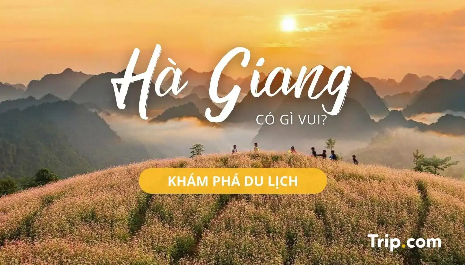 lịch nghỉ tết 2023  du lịch hà giang