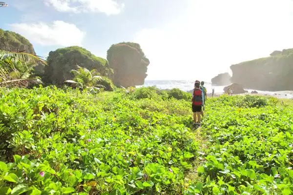 オールドマン・バイ・ザ・シー