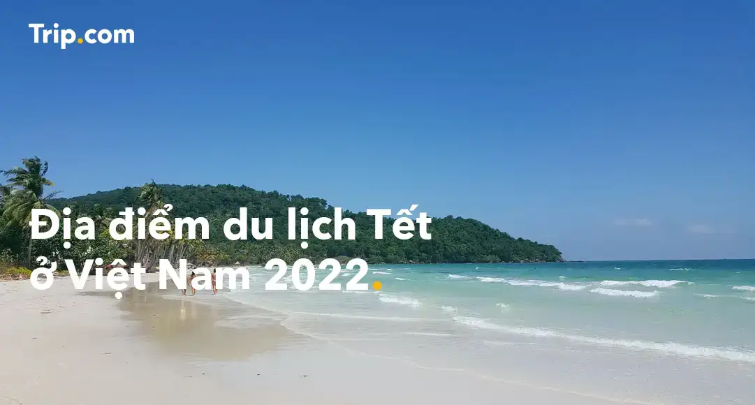 lịch nghỉ tết 2023
