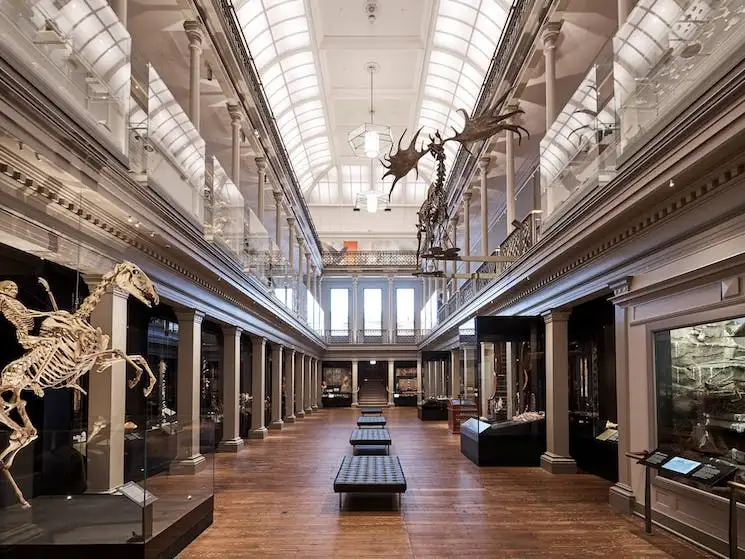 シドニー博物館