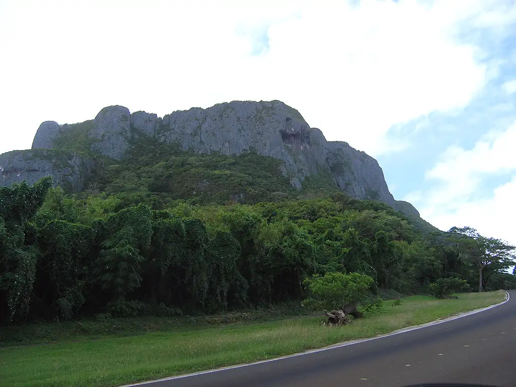 スーサイドクリフ