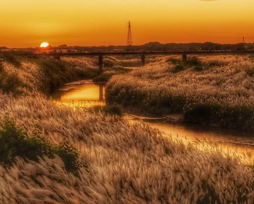 八掌溪