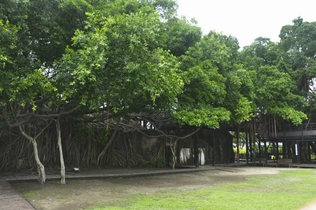 安平樹屋