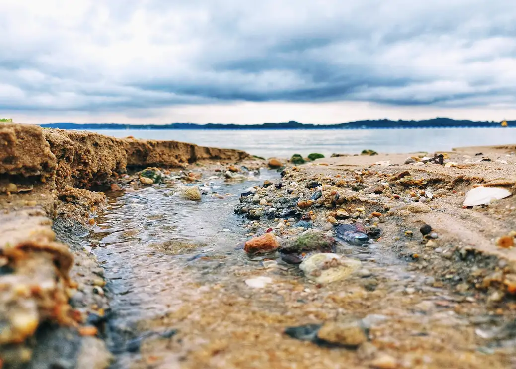 Gorgeous view on Pasir Ris. Source: Joylynn Gohh / unsplash